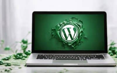 How To Solve WordPress White Screen Fast